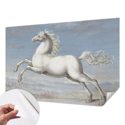 Carta da parati per cameretta Cavalli nel salto