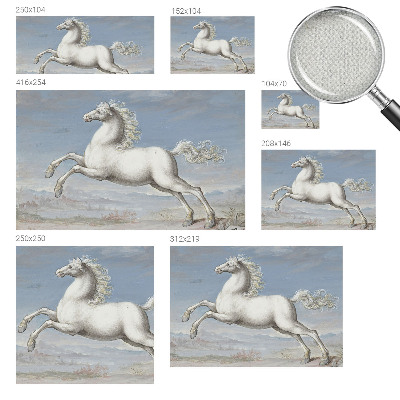 Carta da parati per cameretta Cavalli nel salto