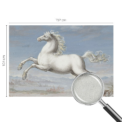 Carta da parati per cameretta Cavalli nel salto