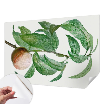 Fotomurale per cameretta Pesca matura