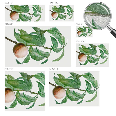 Fotomurale per cameretta Pesca matura