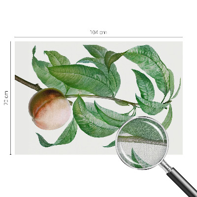 Fotomurale per cameretta Pesca matura