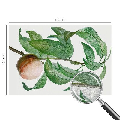 Fotomurale per cameretta Pesca matura