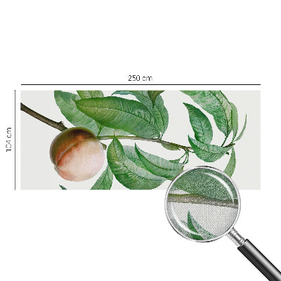 Fotomurale per cameretta Pesca matura