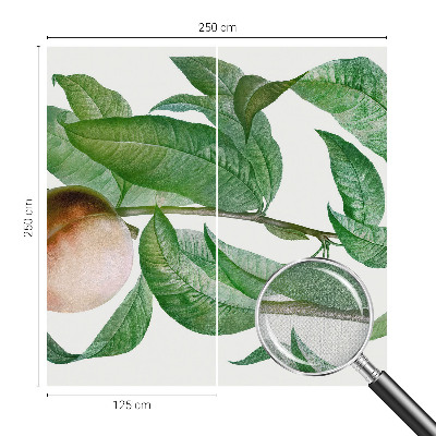 Fotomurale per cameretta Pesca matura