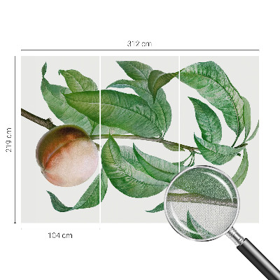 Fotomurale per cameretta Pesca matura