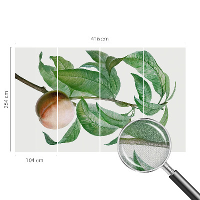 Fotomurale per cameretta Pesca matura