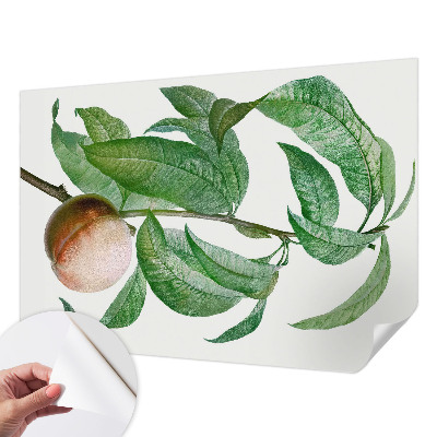 Fotomurale per cameretta Pesca matura