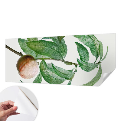 Fotomurale per cameretta Pesca matura