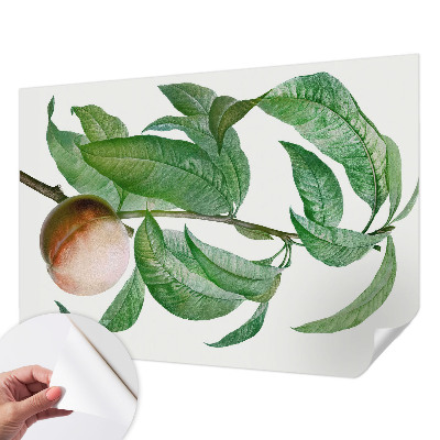 Fotomurale per cameretta Pesca matura