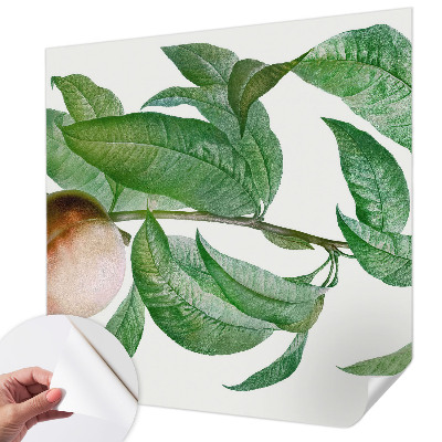 Fotomurale per cameretta Pesca matura