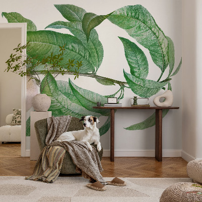 Fotomurale per cameretta Pesca matura