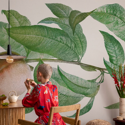 Fotomurale per cameretta Pesca matura