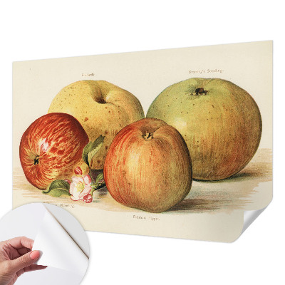 Fotomurale 3D Fiori di melo