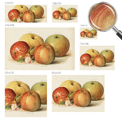 Fotomurale 3D Fiori di melo