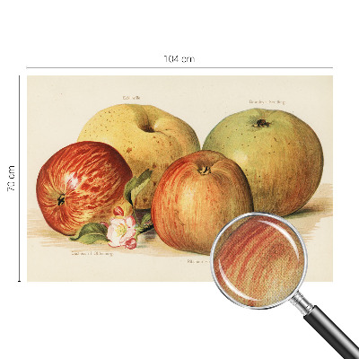 Fotomurale 3D Fiori di melo