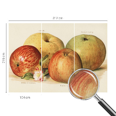 Fotomurale 3D Fiori di melo