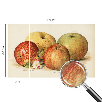 Fotomurale 3D Fiori di melo