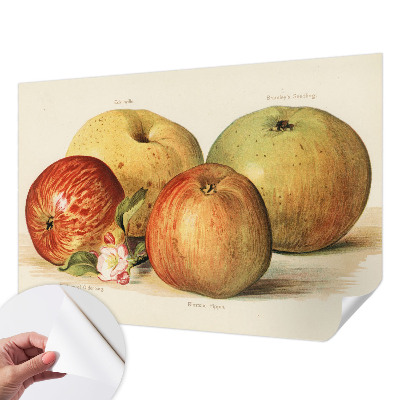 Fotomurale 3D Fiori di melo