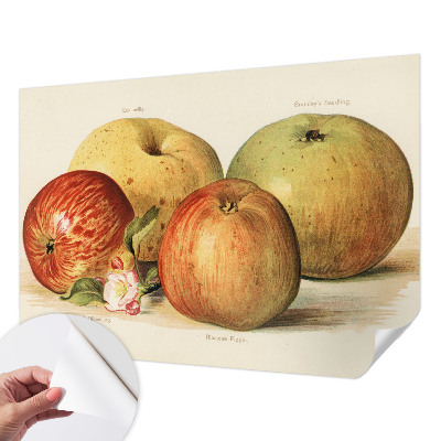 Fotomurale 3D Fiori di melo