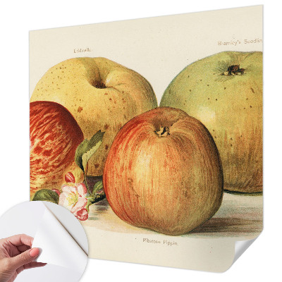 Fotomurale 3D Fiori di melo