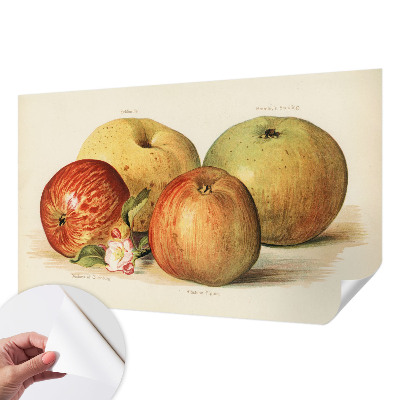 Fotomurale 3D Fiori di melo