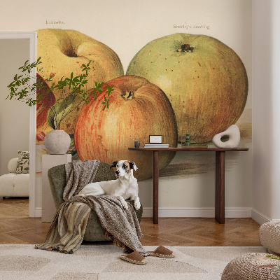 Fotomurale 3D Fiori di melo