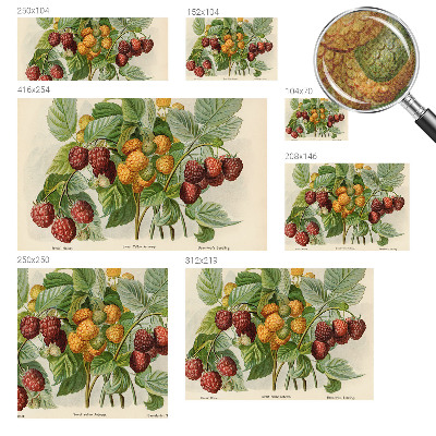 Fotomurale effetto 3D Lamponi classici