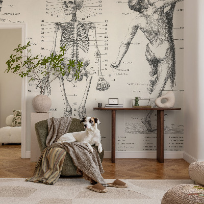 Fotomurale per bambini Anatomia classica