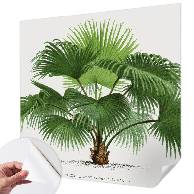 Carta da parati panoramica effetto 3D Palma esotica