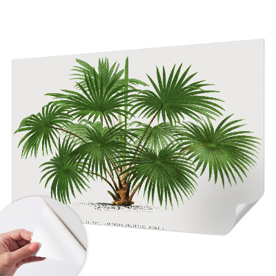 Carta da parati effetto profondità Modello esotico