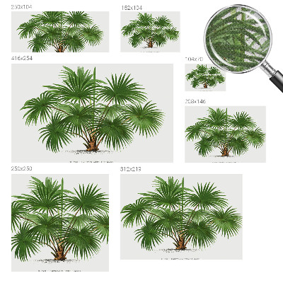 Carta da parati effetto profondità Modello esotico