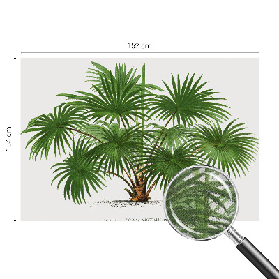 Carta da parati effetto profondità Modello esotico