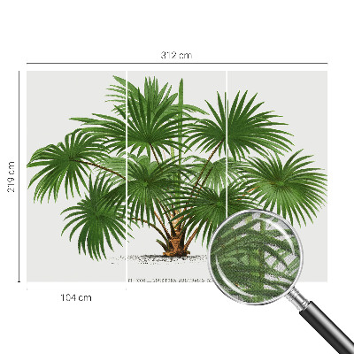 Carta da parati effetto profondità Modello esotico