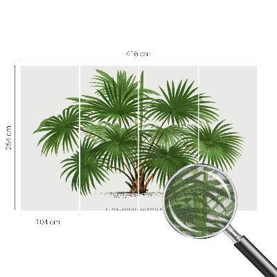 Carta da parati effetto profondità Modello esotico