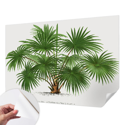 Carta da parati effetto profondità Modello esotico