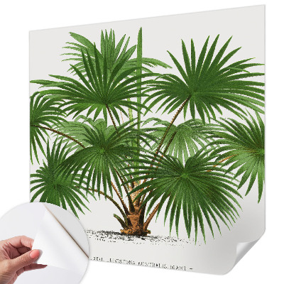 Carta da parati effetto profondità Modello esotico