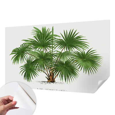 Carta da parati effetto profondità Modello esotico