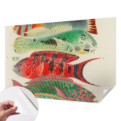 Carta da parati per cameretta Pesci esotici