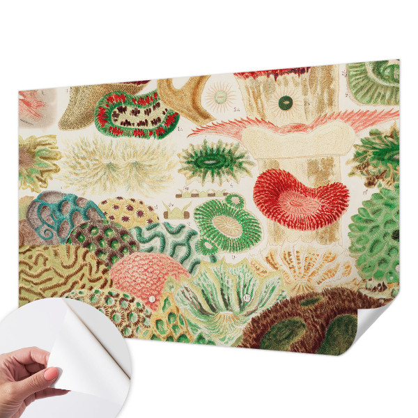 Fotomurale per cameretta Forme organiche