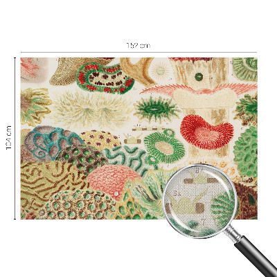 Fotomurale per cameretta Forme organiche