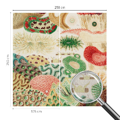 Fotomurale per cameretta Forme organiche