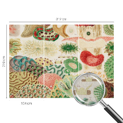 Fotomurale per cameretta Forme organiche