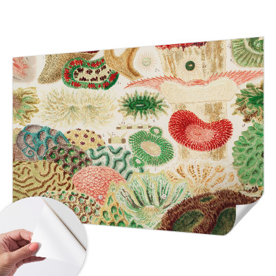 Fotomurale per cameretta Forme organiche