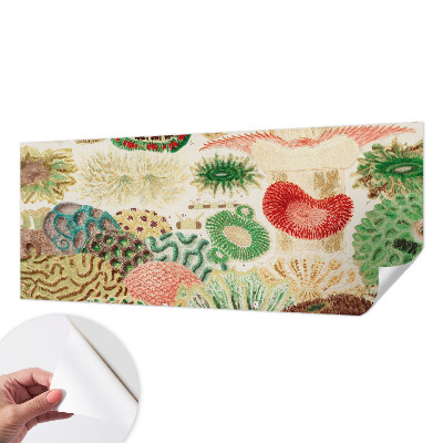 Fotomurale per cameretta Forme organiche