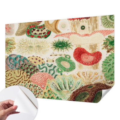 Fotomurale per cameretta Forme organiche