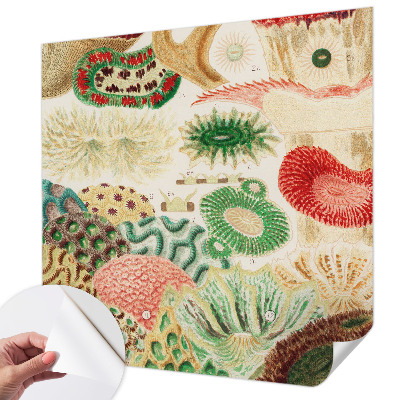 Fotomurale per cameretta Forme organiche