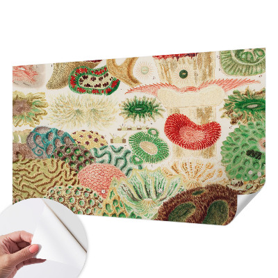 Fotomurale per cameretta Forme organiche