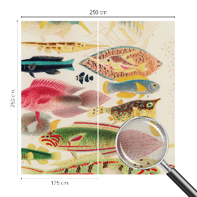 Fotomurale per bambini Pesci colorati