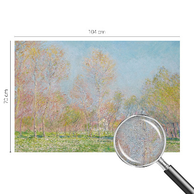 Fotomurale adesivo Parco primaverile